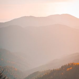 mountains, trees, sunset, fog, phone wallpaper, forest, sunlight, twilight, evening, horizon, nature, view, autumn, aesthetic wallpaper, iphone wallpaper