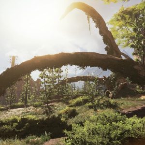 Apex legends - Top Predator Account / 2 Billion Apex Coins / All Heirlooms (Android)