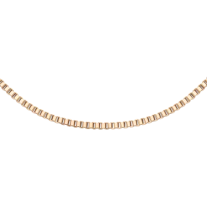 Daniel Wellington Elan Box Chain Necklace Long Rose Gold