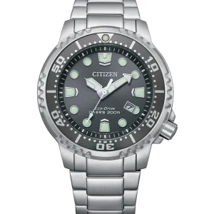 Citizen Eco-Drive Stainless Steel Grey Dial Watch BN0167- 50H