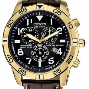Citizen Eco-Drive Perpetual Calendar Chronograph Alarm 100M Mens Watch