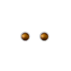 Daniel Wellington Audrey Earrings Tiger Eye Silver DW00401421