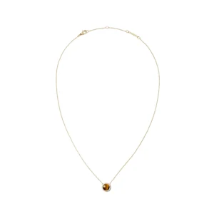 Daniel Wellington Audrey Tiger Eye Gold Necklace DW00401445