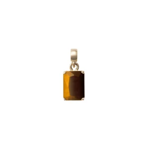 Daniel Wellington Tiger eye Octagon Gold Charm DW00401469