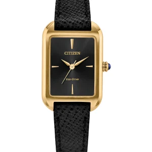 Citizen Eco-Drive Black Dial Leather Strap Watch EM1192-01E