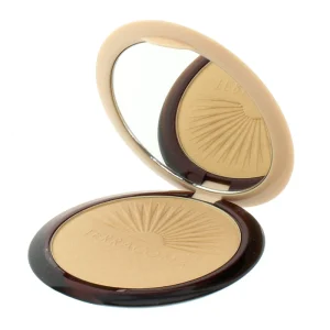 Guerlain Terracotta Summer Glow Highlighter 10g