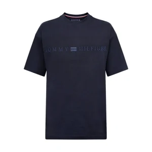 Tommy Hilfiger Archive Hilfiger Logo T-Shirt Desert Sky Men's