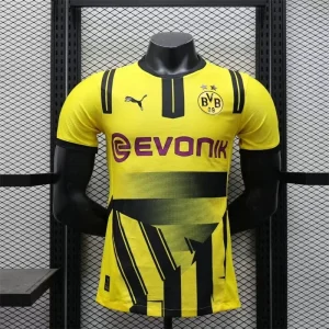 Dortmund 2024/2025 Cup Kit