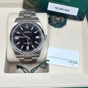 ROLEX OYSTER PERPETUALS/STEEL 41MM - 124300